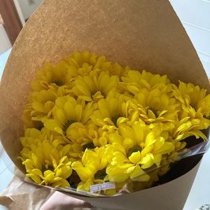 Meet your Posher, Cassie